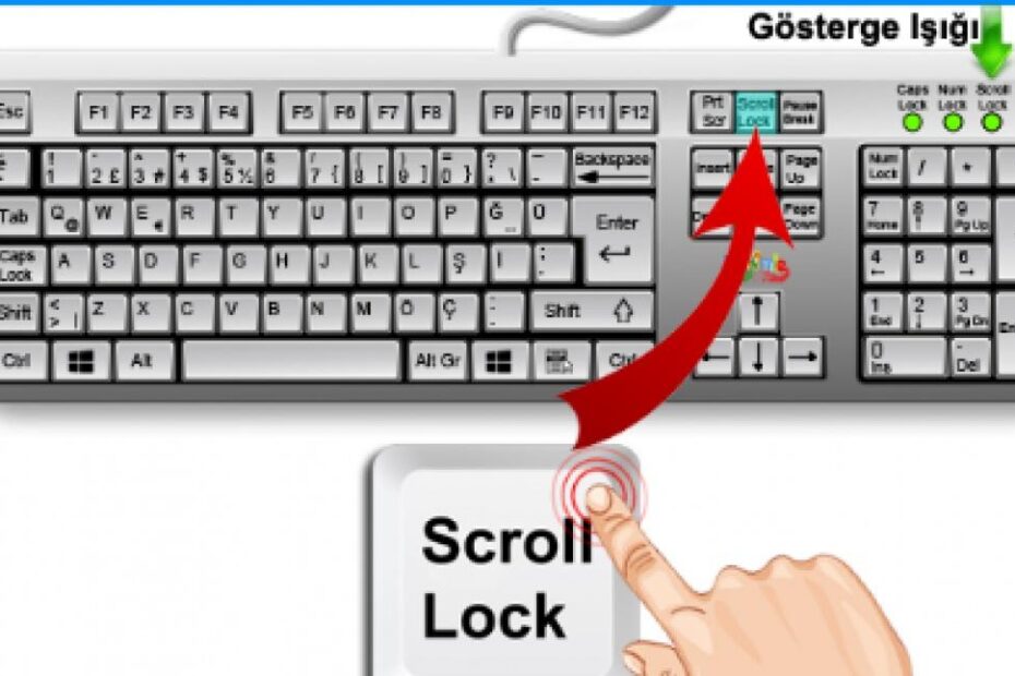 Scroll Insert Ne İşe Yarar? Temel Faydalar ve Püf Noktaları - Kapak Görseli