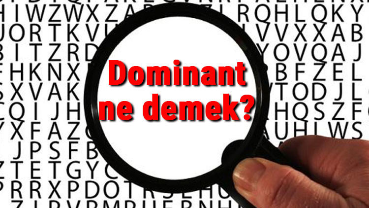Dominant Ne Anlatır? Anlamı, Kullanımı ve İncelikleri [2026] - Kapak Görseli